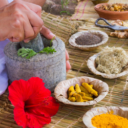 Ayurveda Practitioner